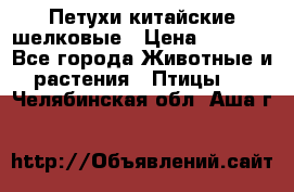 Петухи китайские шелковые › Цена ­ 1 000 - Все города Животные и растения » Птицы   . Челябинская обл.,Аша г.